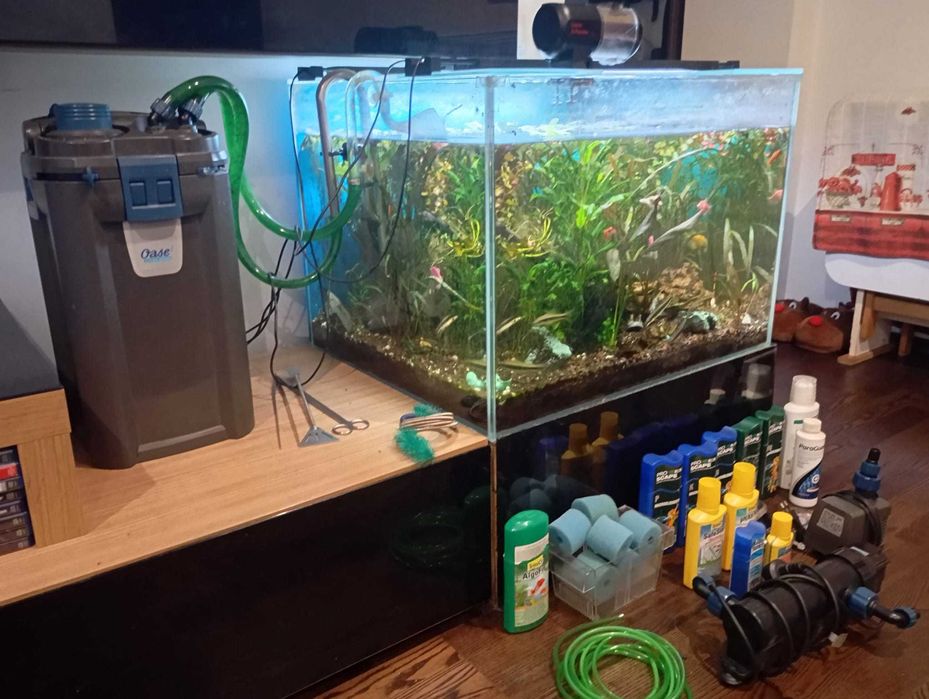 Acvariu 250 L ClearGlass si accesorii