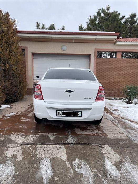 Cobalt-2022 4 позиция. Краска есть-кости целые.