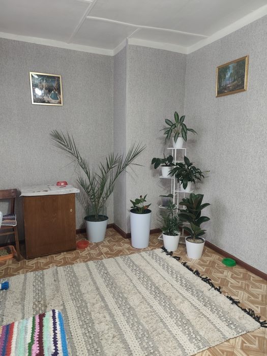 Венгерская продажа дом 5 комнат 6 соток 200 000 у е старт