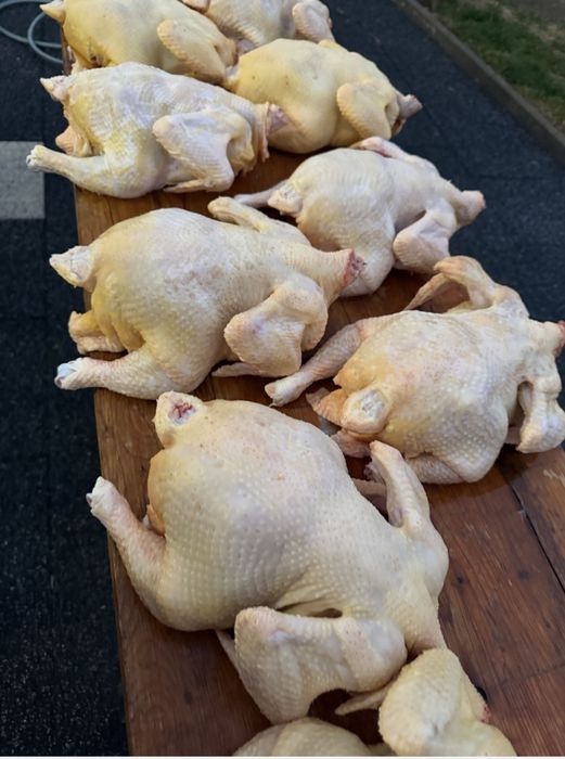 Pui și găini albe de carne tăiate