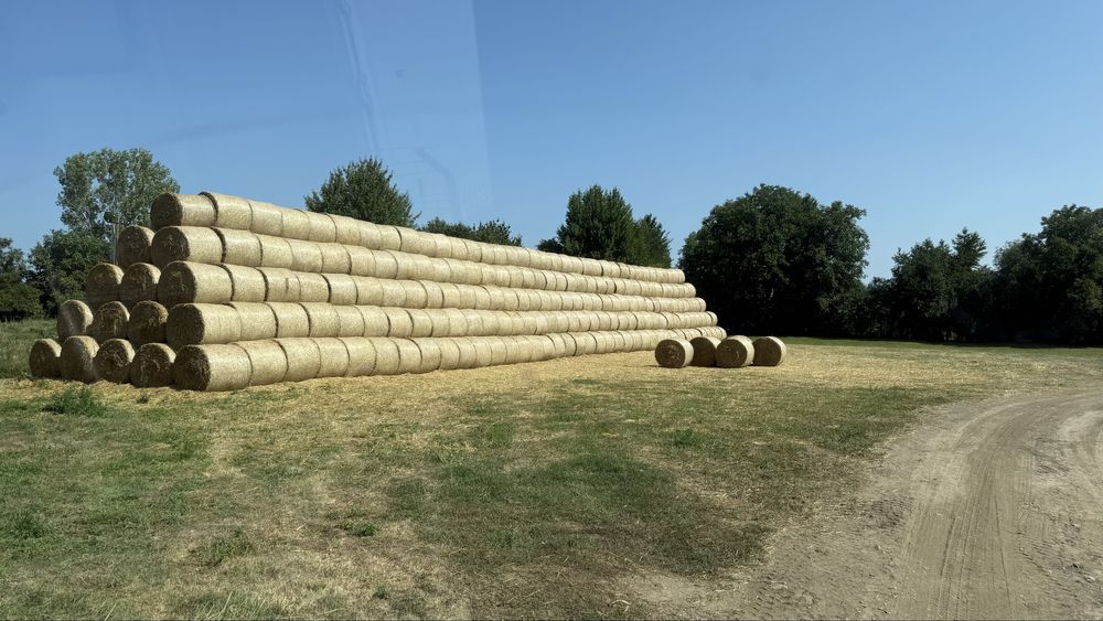 Baloti paie de grau 2025 - Bine presati