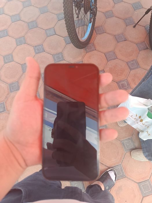 iPhone 12 Pro Max