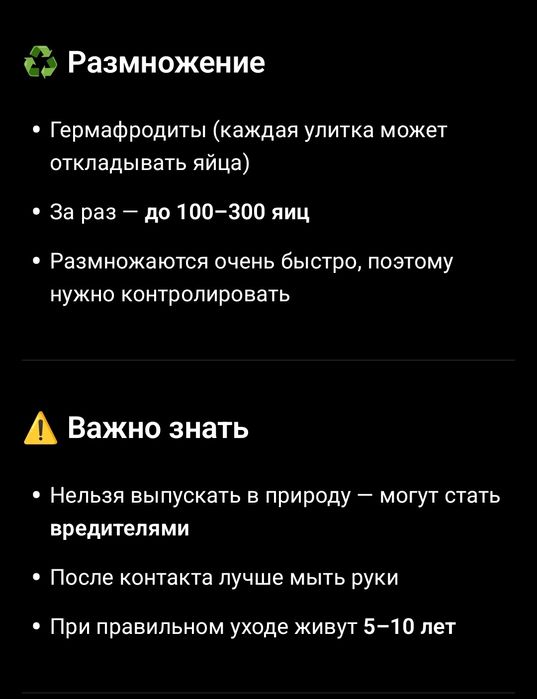 Улитки Ахатин  детёныши