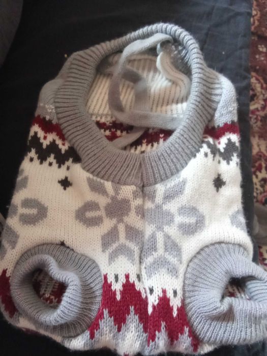 Дрехи за  средно куче