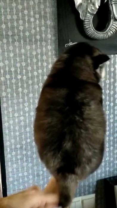 Мальчик с ярко голубыми глазками