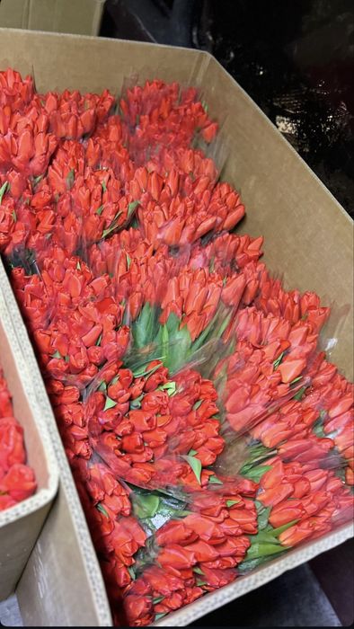 Тюльпаны с доставкой