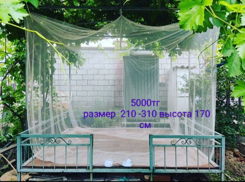 Масахана, накомарники
