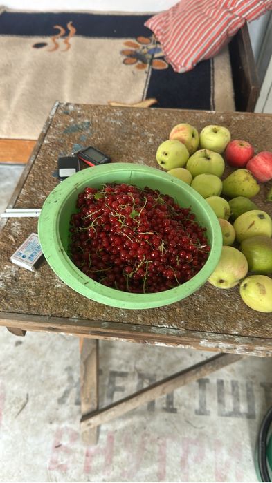 Продам дачу сад Здоровие