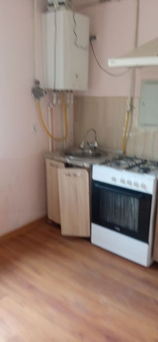 Dom.                .