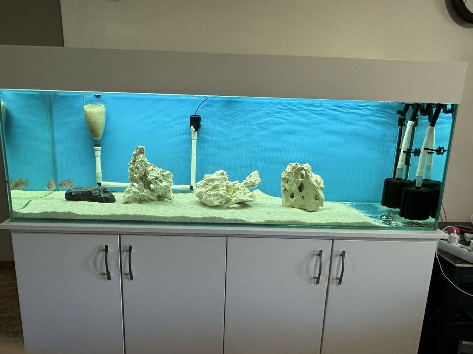 Acvariu 400l sticla de 10mm