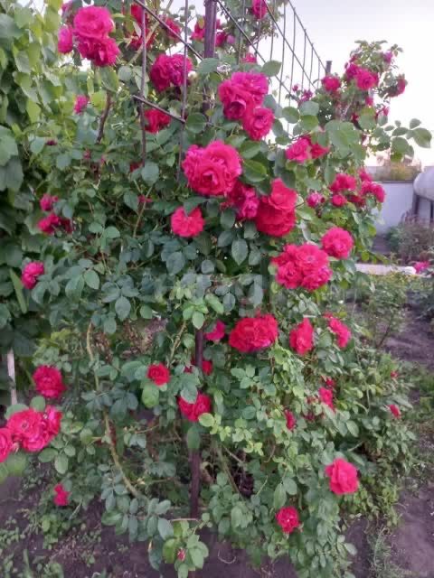 Продам дом в п. Заречный