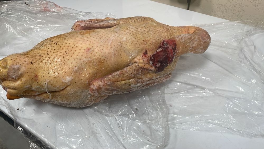 Мясо гуся, қазы еті