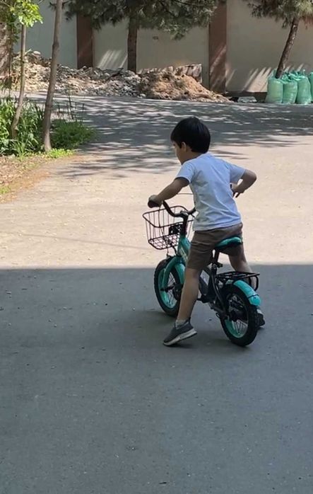 Детский велосипед Smart Max (2-5 лет)