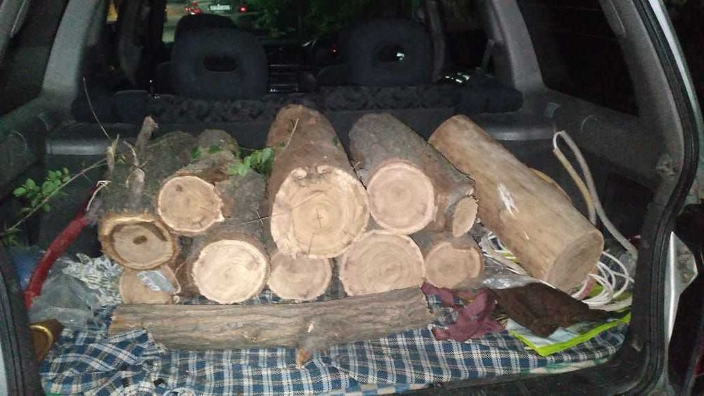 Дрова сухие   2  куба ( стволы карагача )