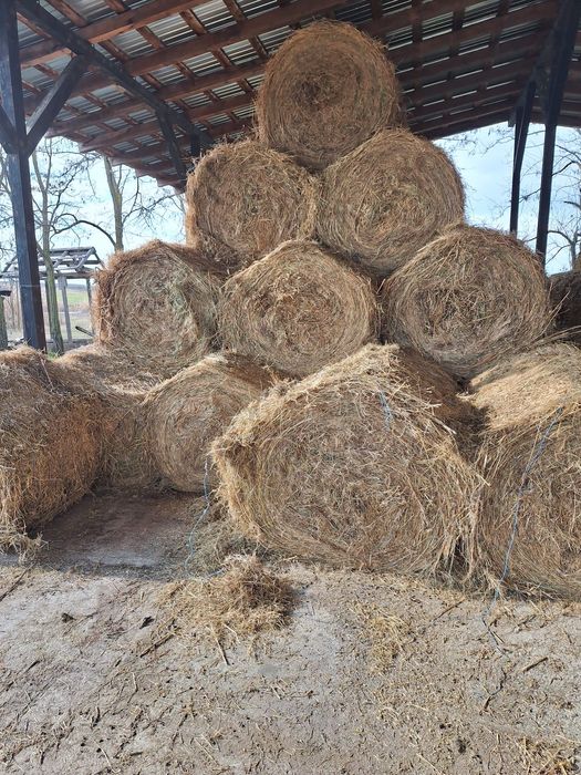 Baloți de iarbă de vânzare