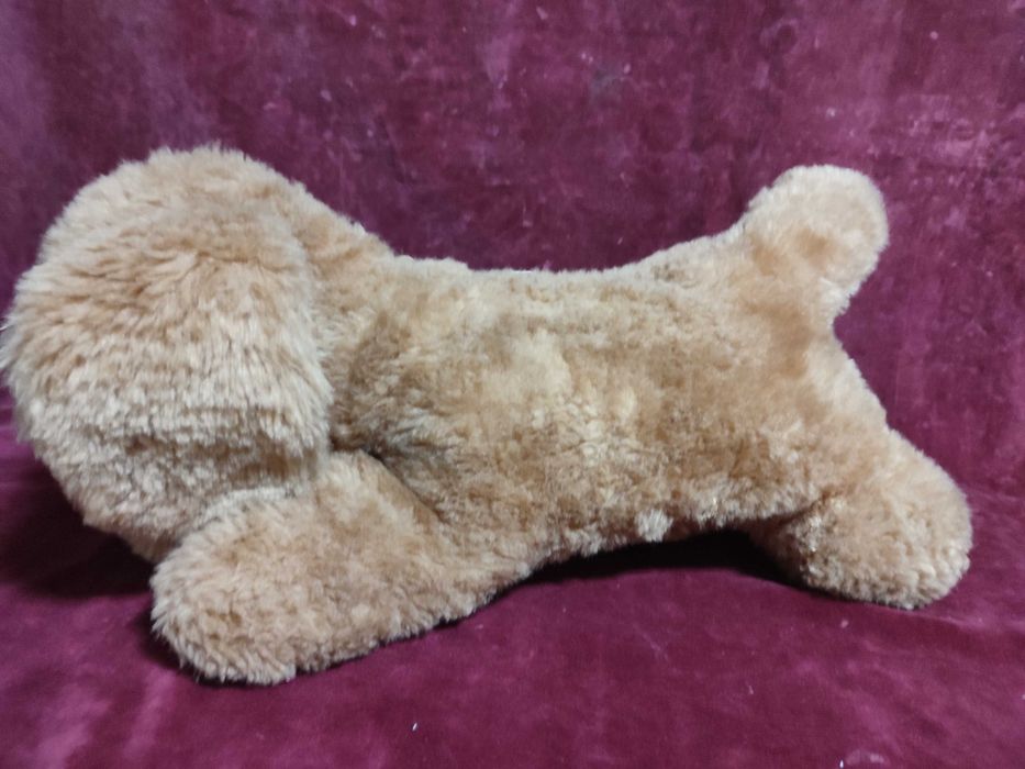 Catel din plus, culoare maro, SH dar stare buna.