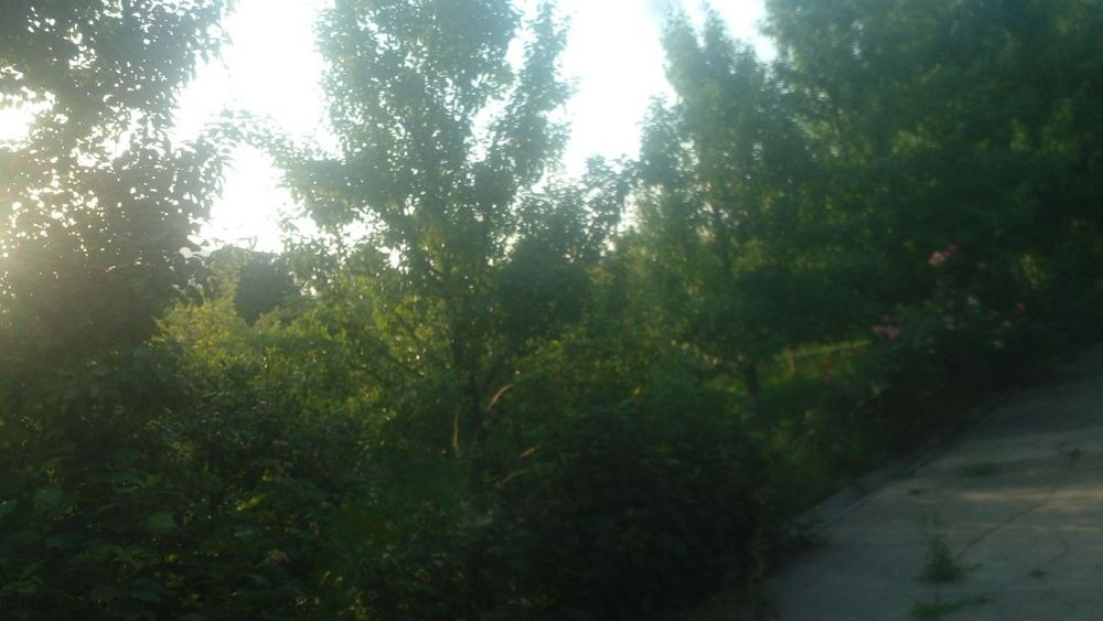 Наманган вилояти Янгиқӯрғон туманида Чортоқсой бӯйида дала-ҳовли