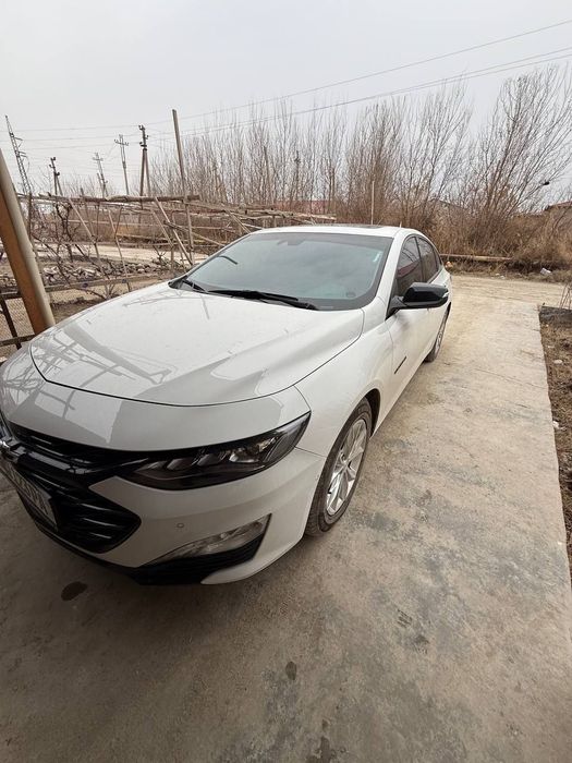 Malibu sotiladi 2023