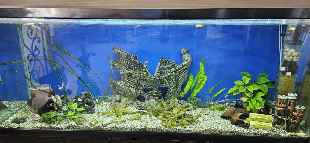 Продам Аквариум 500лт