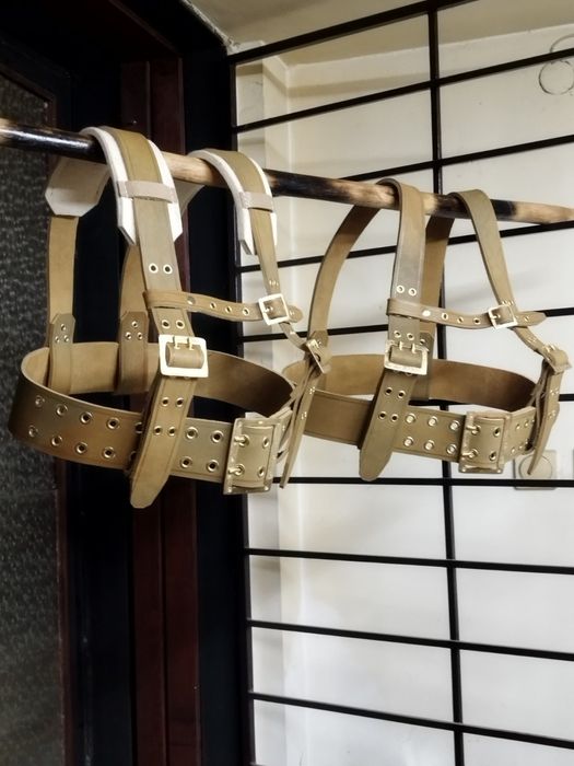 Чанове/ кукерски колани