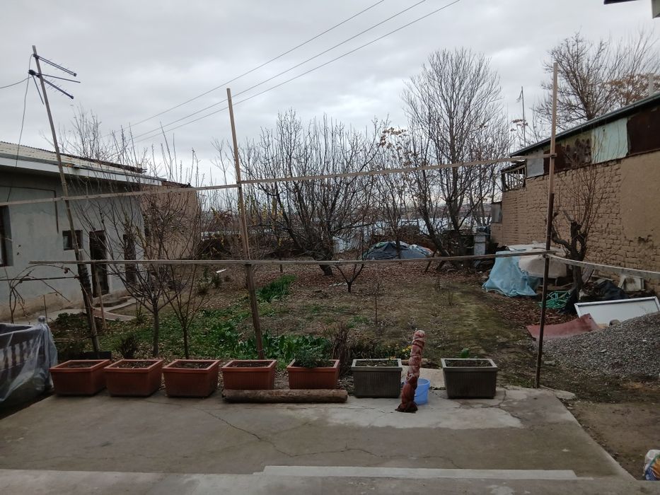 Зангиота туманида 8 сотихли ховли сотилади.