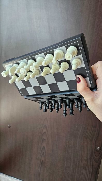 Шахматы магнитные