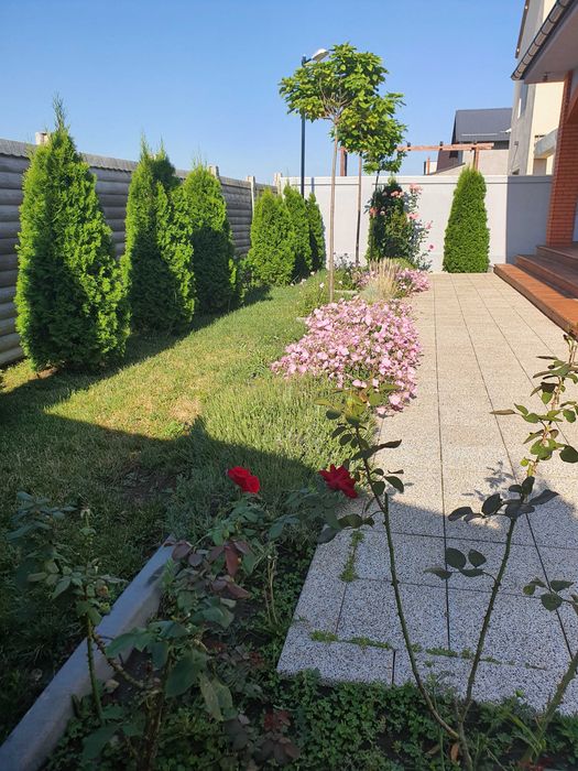 Vanzare Casa zona Veteranilor