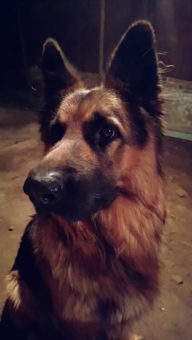 Вязка кабель 40 000