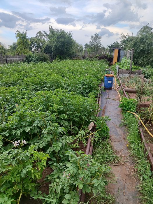 Дача на Уралочке