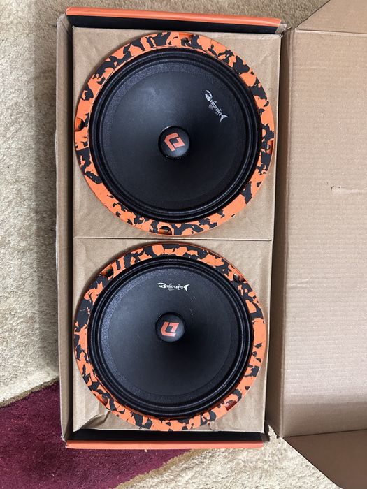 новый колданылмаган