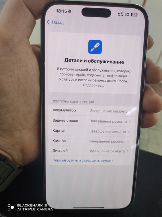 iPhone 16 pro max 256G E sim