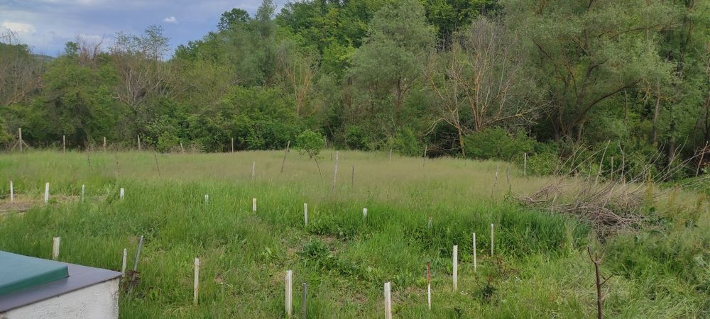 Предлагам косене на трева с бензинова косачка