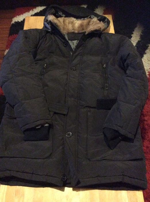 Geci barbati de iarna