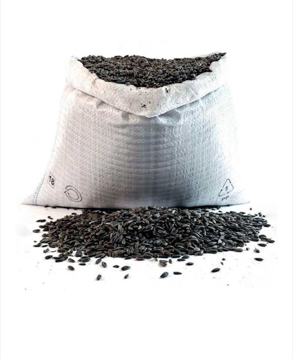 Cereale recoltă 2025, floare, ovăz, porumb, baloți paie