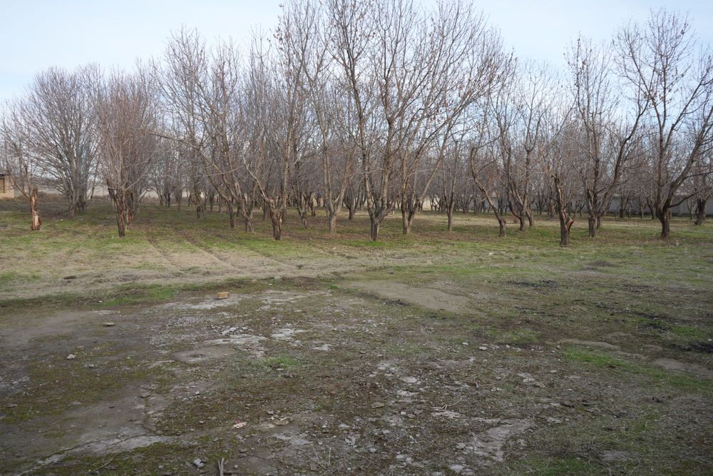 Дача с бассейном и фермой в городе Нуравшон (бывшая Тойтепа)