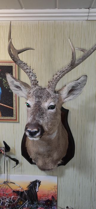 Охотничий сувенир