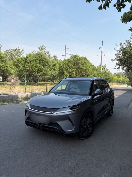 Byd yuan up  2025 full