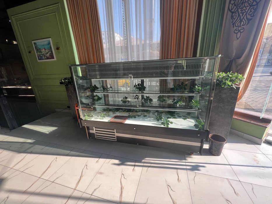 Продаётся витриный холодильник.