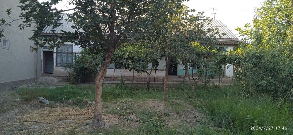 Uchaska 7 sotik oldi ayvon