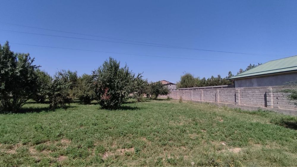 Nazarbek tekstil savhoz suv bo’yida toza havo yer sotiladi