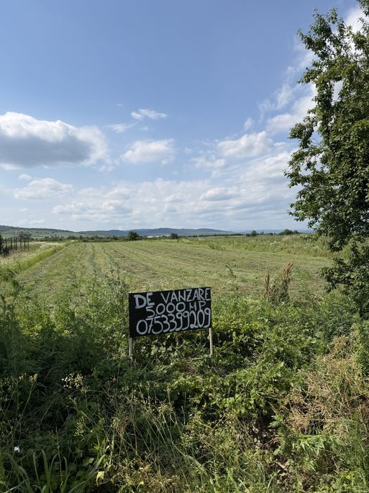 Teren intravilan 5000 mp/parcelabil de vânzare – Zorești, com. Vernești, jud. Buzău