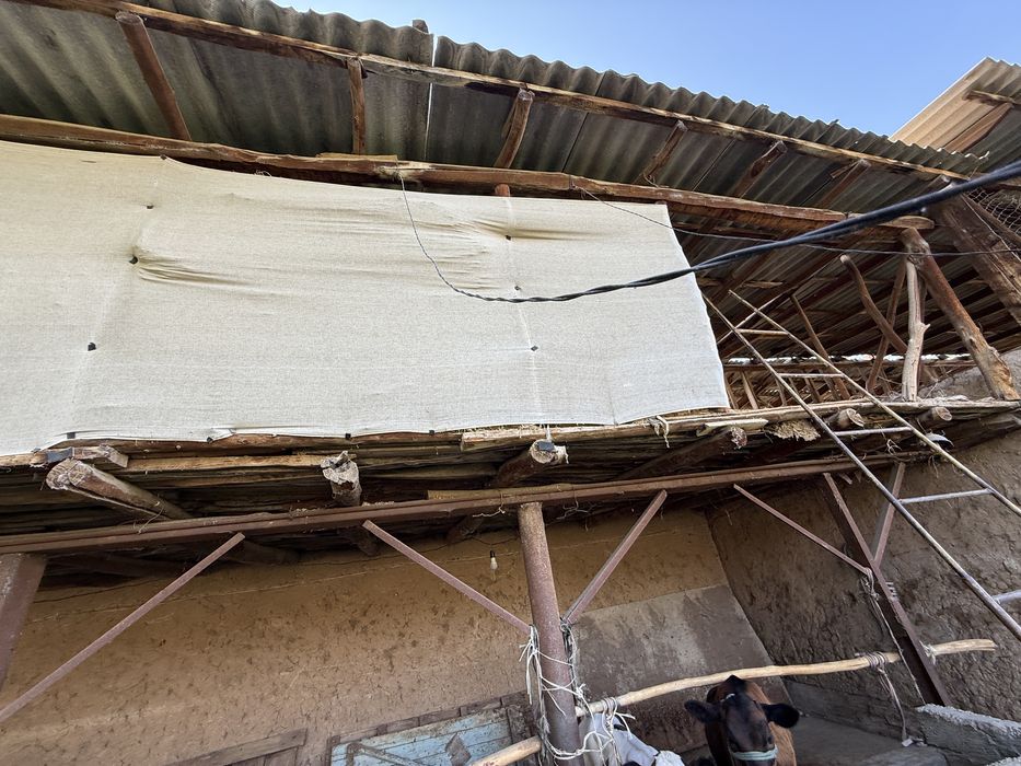 Участок  13 ст пригород, газ, свет и вода сентральная