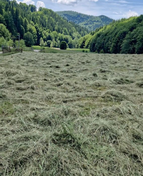 Fan balotat calitate buna .transport inclus