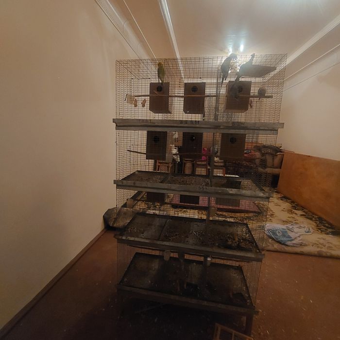 Kletka. Valnisti 12 ta paraga mojalangan