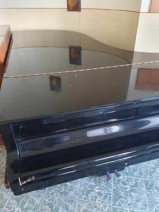 Pian de concert Bluthner.