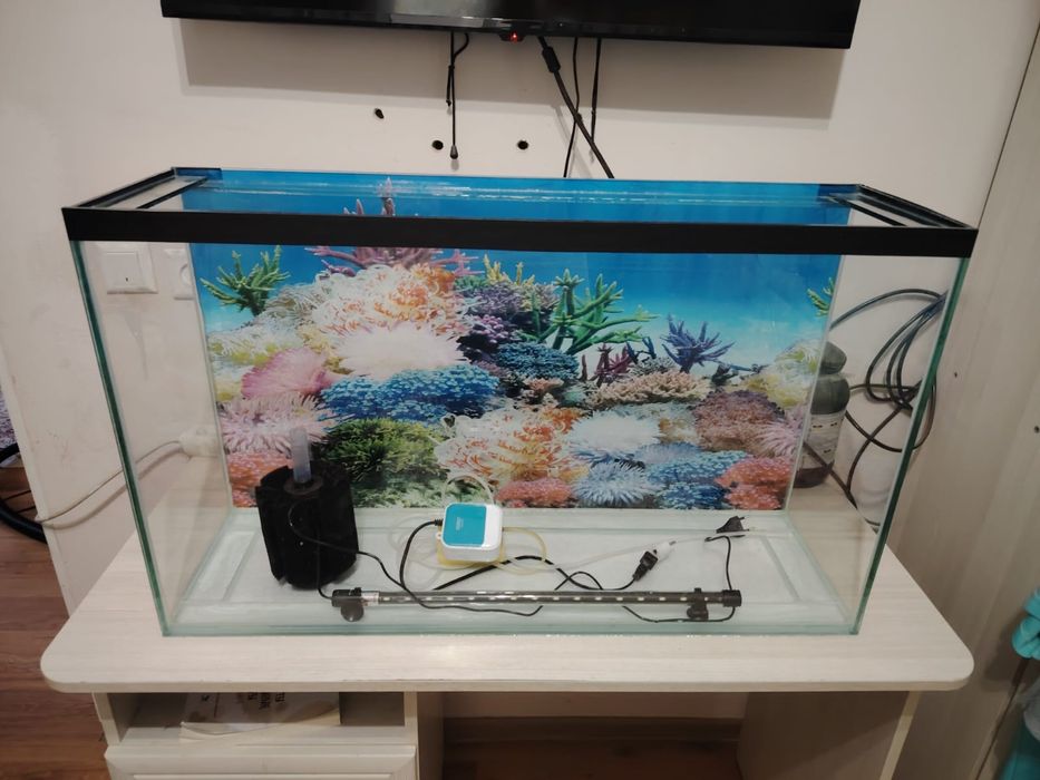 30 мын полный комплект