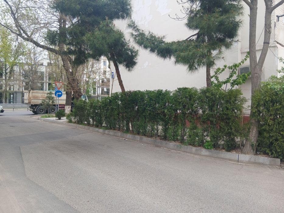 Ялангач на против ЭкО базара