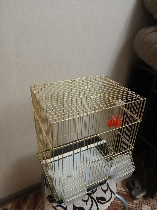 Клетка для попугая.