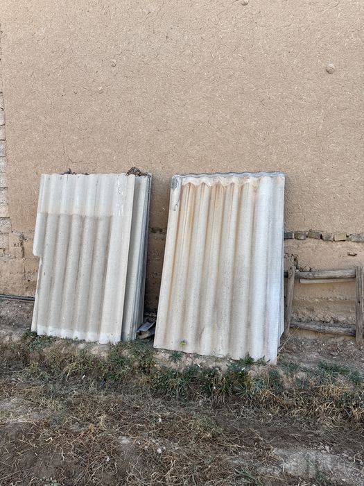 Shefir sotiladi donasi 20 mingdan