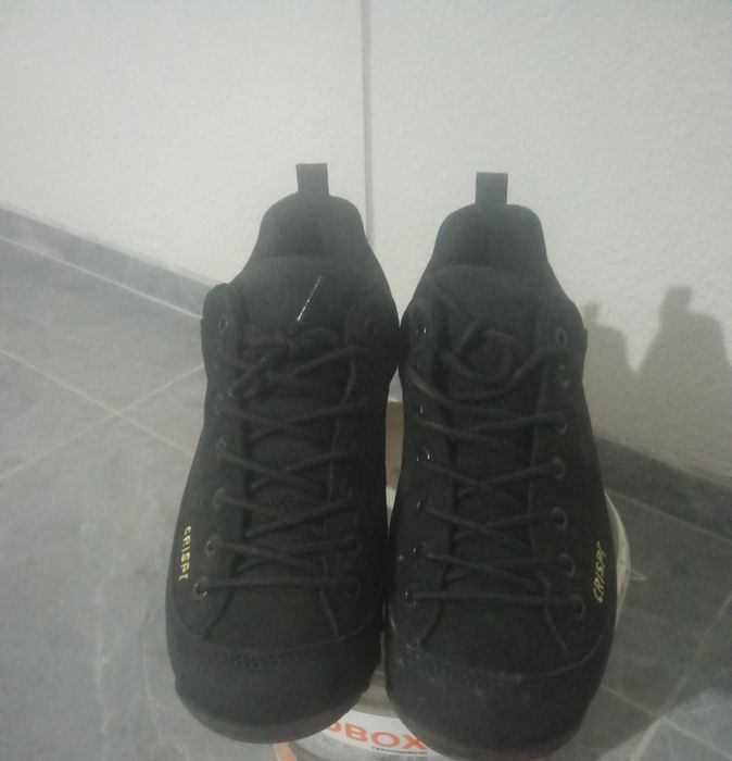 Красовка Криспи новый